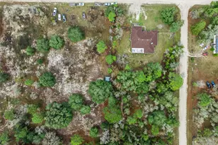 14170 SE 4 St, Williston, FL 32696 - Photo 37