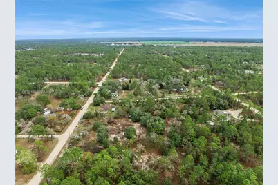 14170 SE 4th St., Williston, FL 32696 - Photo 51