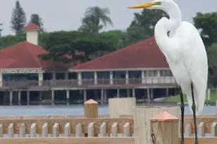 109 Lake Emerald Dr, Oakland Park, FL 33309 - Photo 25