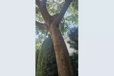 1616 Michigan Ave #11, Miami Beach, FL 33139 - Photo 7