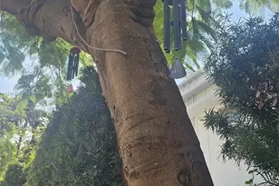 1616 Michigan Ave, Miami Beach, FL 33139 - Photo 7