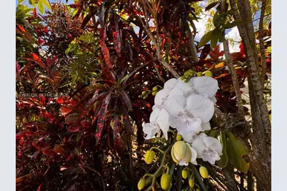 15032 SW 143rd Ave, Miami, FL 33186 - Photo 23