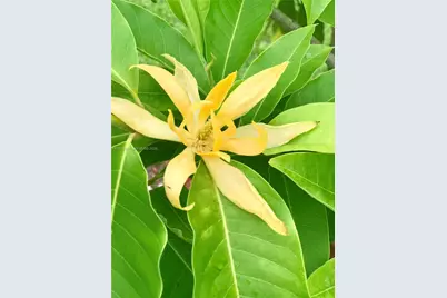 2481 Eagle Watch Ct #., Weston, FL 33327 - Photo 15