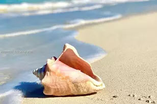 1865 79th Street Causeway, Miami Beach, FL 33141 - Photo 19