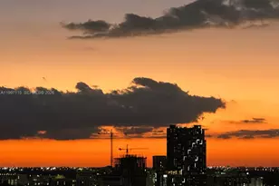 2678 Tigertail Ave, Miami, FL 33133 - Photo 9