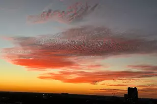 2678 Tigertail Ave, Miami, FL 33133 - Photo 17