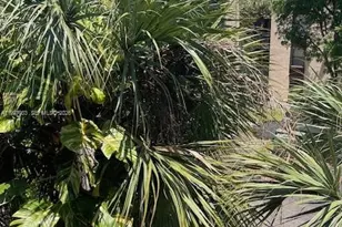 [Address not provided], Miami, FL 33186 - Photo 15