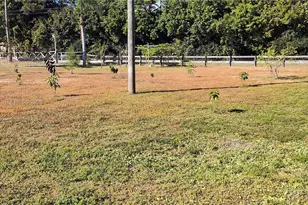 15780 N 62nd Pl N, Loxahatchee, FL 33470 - Photo 15