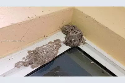 3931 NW 108th Dr, Coral Springs, FL 33065 - Photo 5