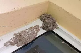 3931 NW 108th Dr, Coral Springs, FL 33065 - Photo 5