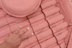 3931 NW 108th Dr, Coral Springs, FL 33065 - Photo 3