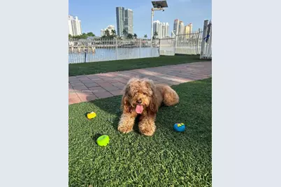 3600 Mystic Pointe Dr #513, Aventura, FL 33180 - Photo 43