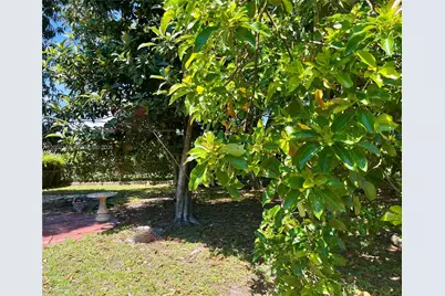 10820 NE 5th Ave, Miami, FL 33161 - Photo 33