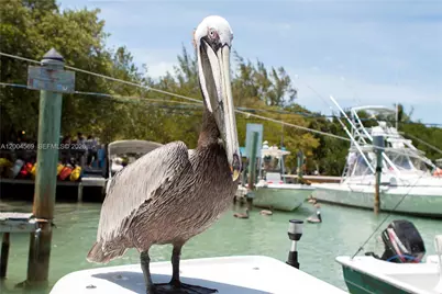 8 Ocean View Blvd, Key Largo, FL 33037 - Photo 61