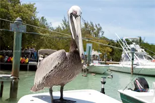 8 Ocean View Blvd, Key Largo, FL 33037 - Photo 61