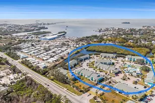 455 Alt 19 S, Palm Harbor, FL 34683 - Photo 27