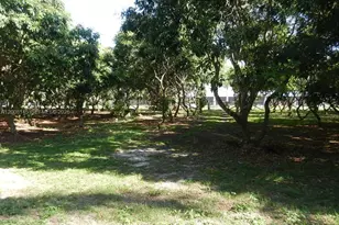 18950 SW 240th St, Homestead, FL 33031 - Photo 83