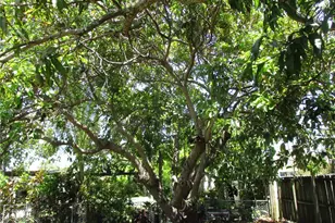 19311 Gulfstream Rd, Cutler Bay, FL 33157 - Photo 23