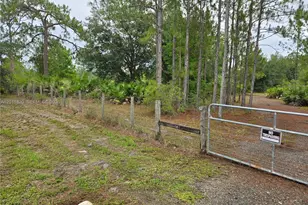 1000 NE 365th Ln, Okeechobee, FL 34972 - Photo 15
