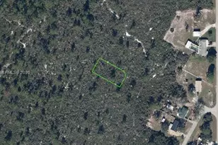 1425 Doolittle St, Lake Placid, FL 33852 - Photo 1
