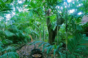 [Address not provided], North Miami, FL 33168 - Photo 33