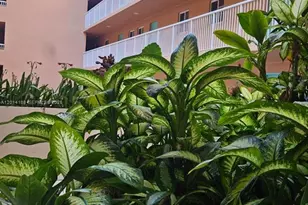 6801 Harding Ave, Miami Beach, FL 33141 - Photo 9
