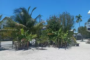 251 Pelican Ln, Big Pine Key, FL 33043 - Photo 13