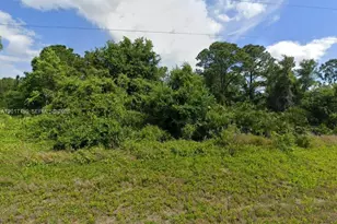 1518 Mangrove St, Lake Placid, FL 33852 - Photo 1