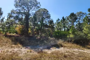 706 Johns Ave, Lehigh Acres, FL 33972 - Photo 1