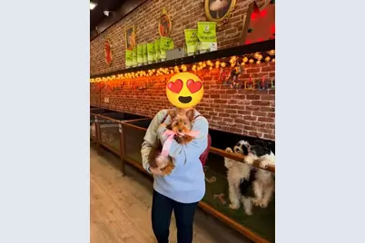 7014 SW 87 Ave, Miami, FL 33173 - Photo 3