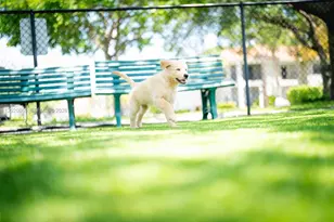 6503 N Military Trail, Boca Raton, FL 33496 - Photo 33