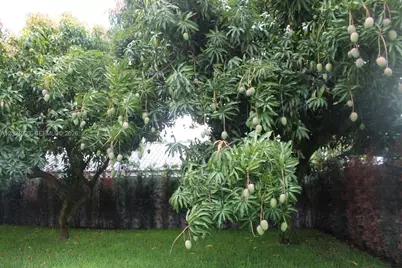 630 W 72nd Pl, Hialeah, FL 33014 - Photo 41