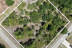 1101 Dayton Ave, Lehigh Acres, FL 33972 - Photo 1