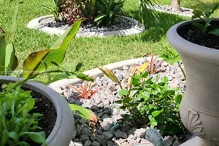 225 SW 31st Pl, Cape Coral, FL 33991 - Photo 5