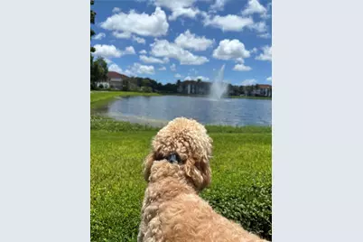 [Address not provided], Miramar, FL 33025 - Photo 27
