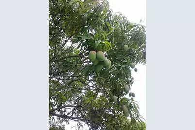 [Address not provided], Miami, FL 33187 - Photo 11