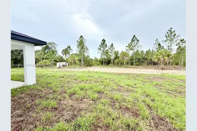 911 Cleveland Ave, Lehigh Acres, FL 33972 - Photo 51