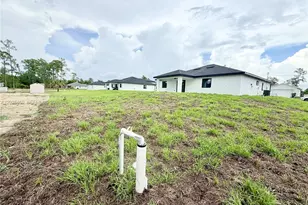 911 Cleveland Ave, Lehigh Acres, FL 33972 - Photo 59