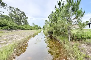 705 Colyer St E, Lehigh Acres, FL 33974 - Photo 61