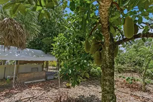 25800 SW 199th Ave, Homestead, FL 33031 - Photo 27