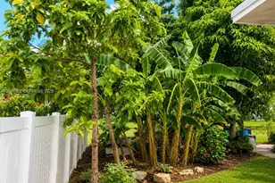 11410 NE 13th Ave, Miami, FL 33161 - Photo 5