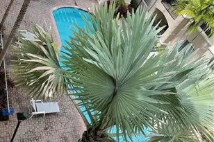 4408 Renaissance Way, Boynton Beach, FL 33426 - Photo 27