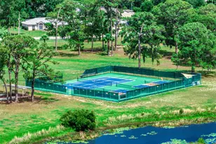 198 Blue Moon Ave, Lake Placid, FL 33852 - Photo 43