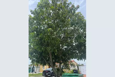 1120 SW 73rd Ave, Miami, FL 33144 - Photo 17