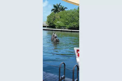 51 W Plaza Del Lago #., Islamorada, FL 33036 - Photo 15