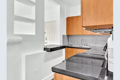 934 Michigan Ave #305, Miami Beach, FL 33139 - Photo 9