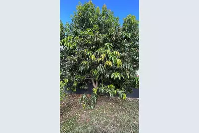 1475 NW 19 St, Homestead, FL 33030 - Photo 49