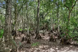 2291 Secretariat Dr, Other City - In The State Of Florida, FL 33935 - Photo 43