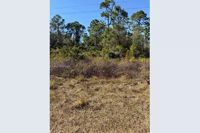 216 Columbus, Lehigh Acres, FL 33974 - Photo 3