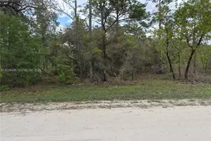 00 NE 4 St, Williston, FL 32696 - Photo 3